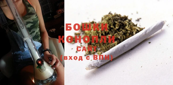 мет Лагань