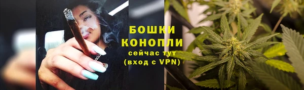 мет Лагань