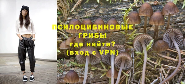 кокс Лабытнанги