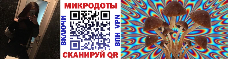 Купить закладки  Клин  Галлюциногенные грибы GOLDEN TEACHER 